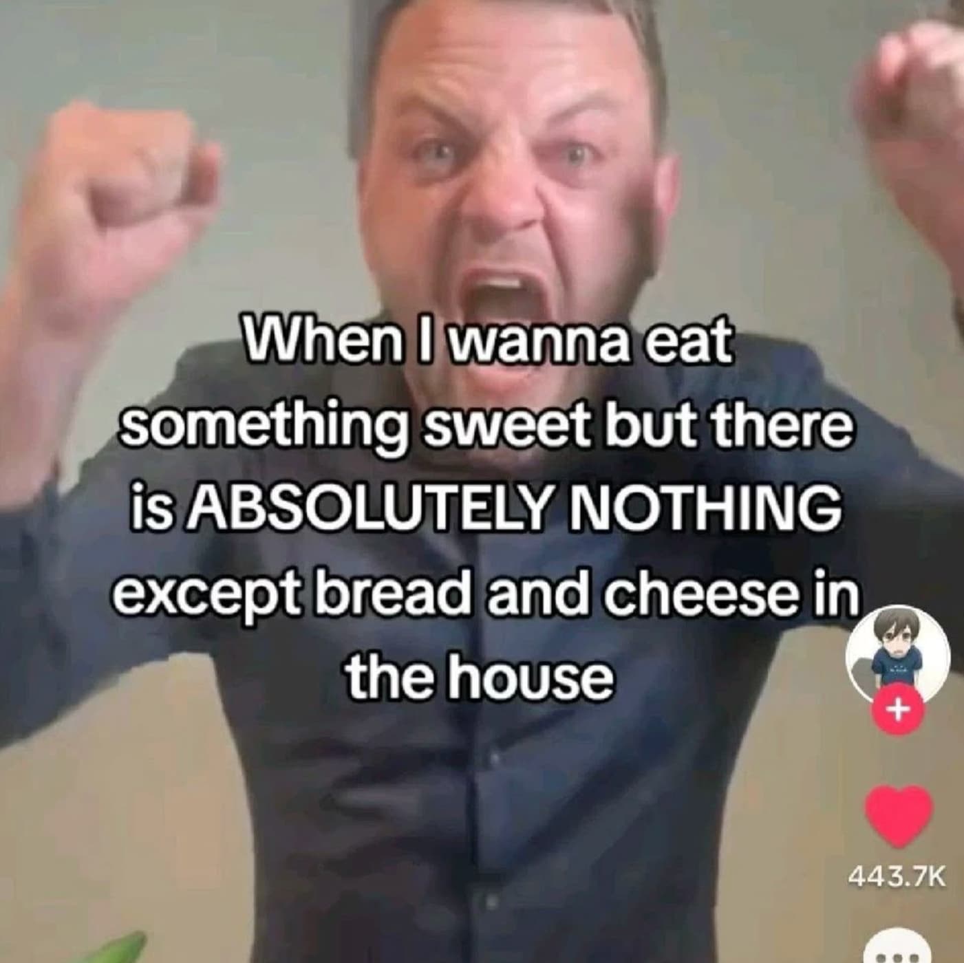 photo caption - When I wanna eat something sweet but there is Absolutely Nothing except bread and cheese in the house